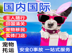 惠州航空邮寄国际宠物托运 【国